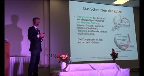 Joachim Galler Vortrag in Graz 2017
